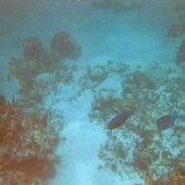  Lighthouse Reef, Belize